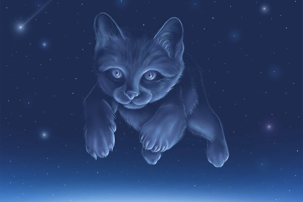 The constellation of the cat in the night starry sky