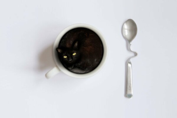 Surprise inattendue dans une tasse au lieu d un café