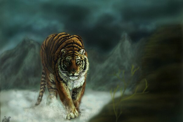 A stately tiger walks in the mountains