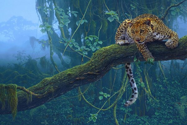 Jaguar est assis sur un arbre et cherche sa proie