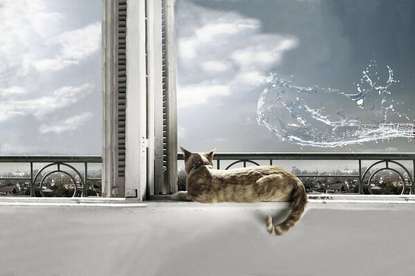 The calmness of the cat lying on the windowsill a second before