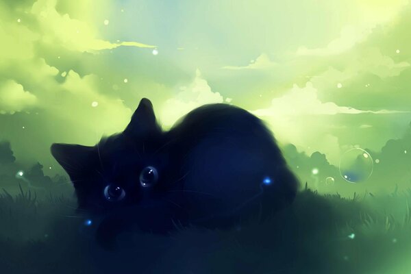 A black kitten in the kingdom of Morpheus