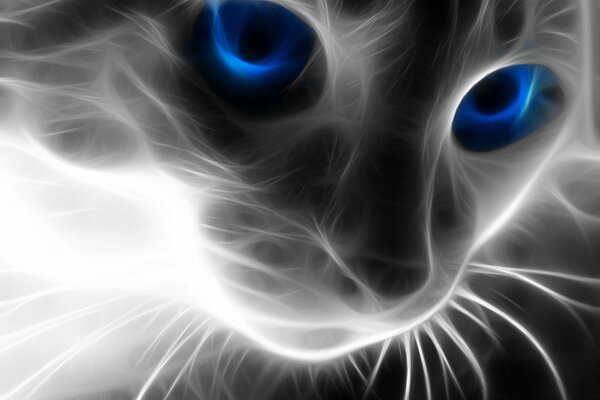 A popular picture of a cat with blue eyes in neon