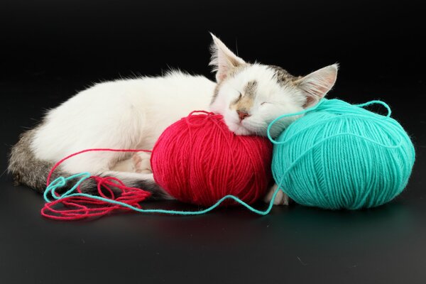 A white cat lies on balls of yarn