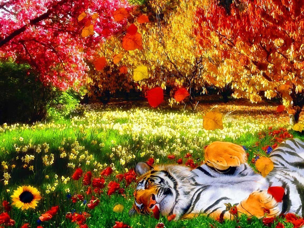 tigre natura colori vivaci calore fiori alberi foglie erba