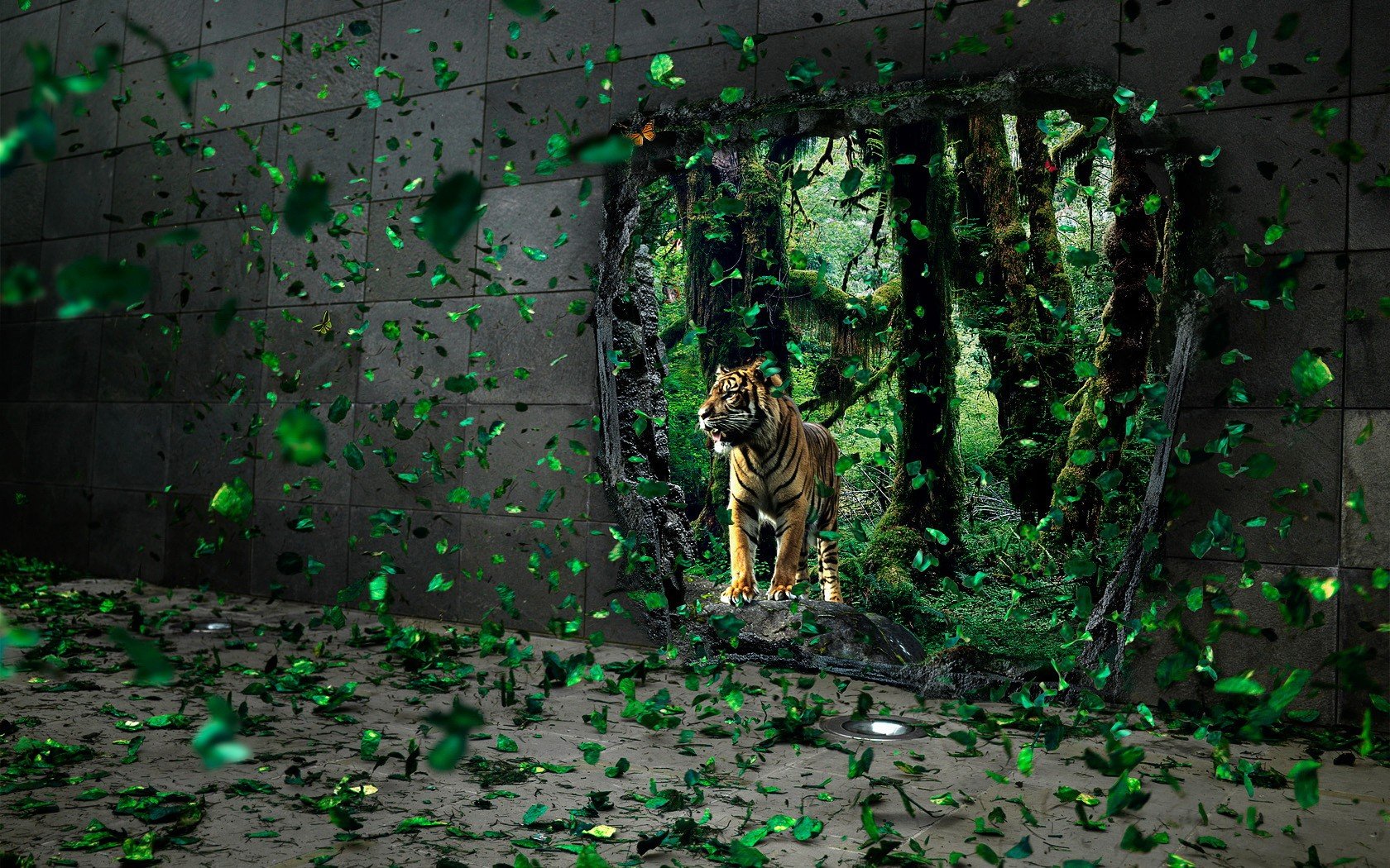 feuilles tigre mur trou