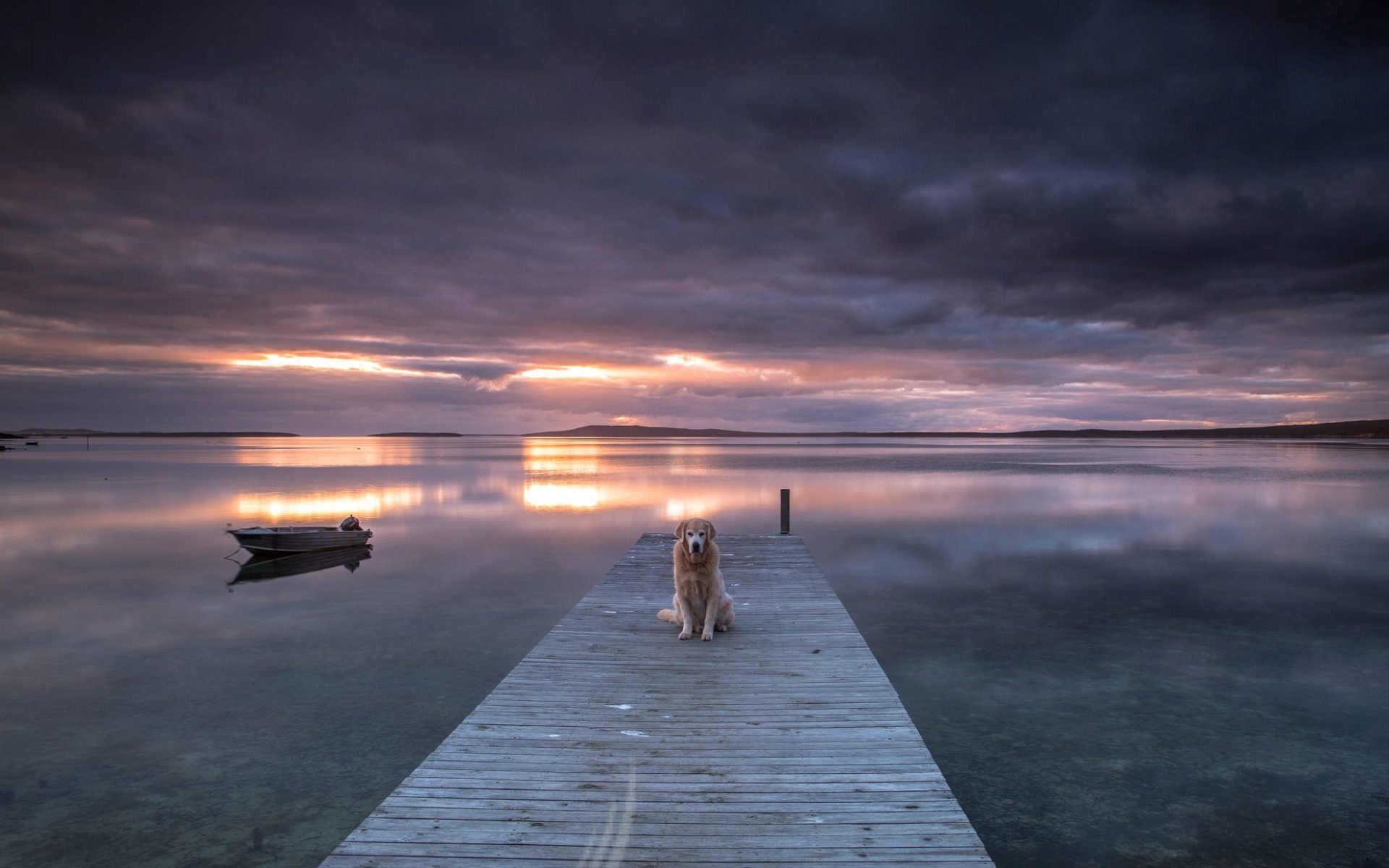 hund see sonnenuntergang brücke