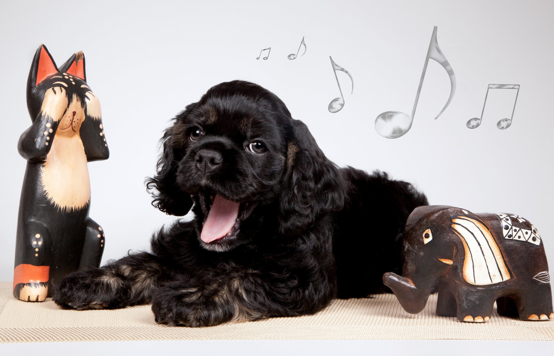 cocker spaniel szczeniak figurki słoń nuty ziewa