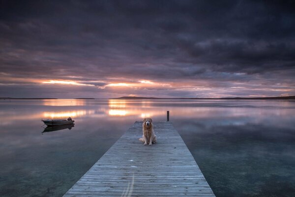 And the faithful dog is still waiting for the owner