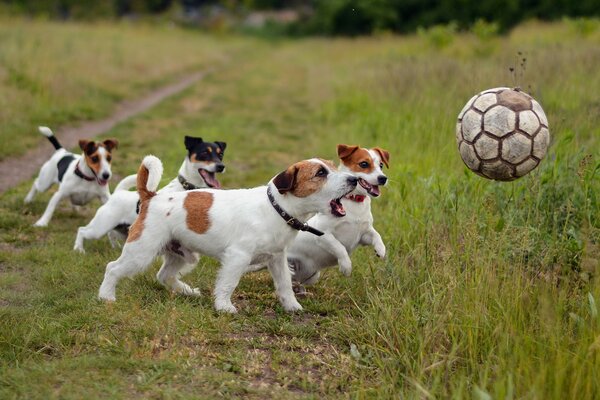 Srbaki jouant au football avec le ballon