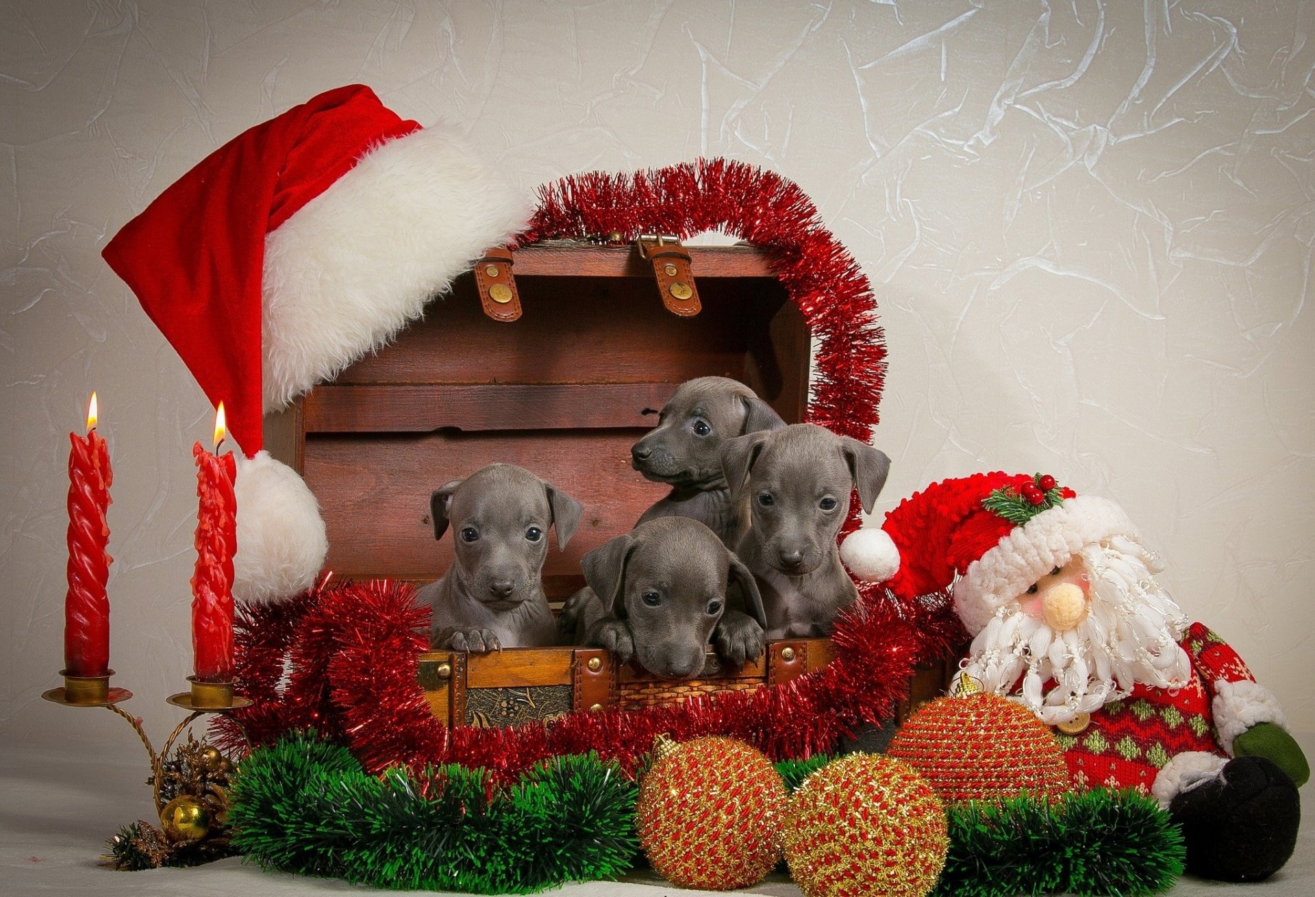 new year puppies decoration