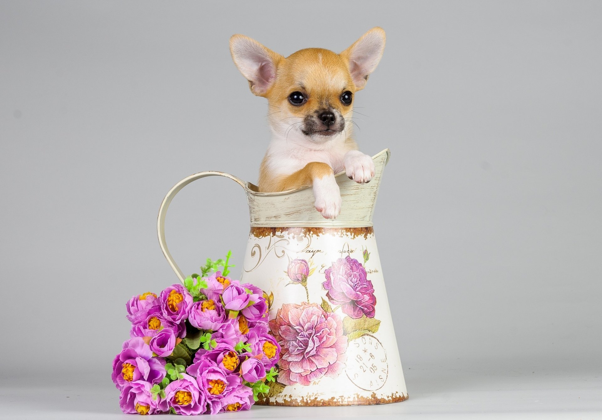 dog puppy pitcher flower bouquet