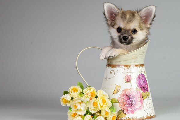 Regalo originale cucciolo dà un mazzo di fiori