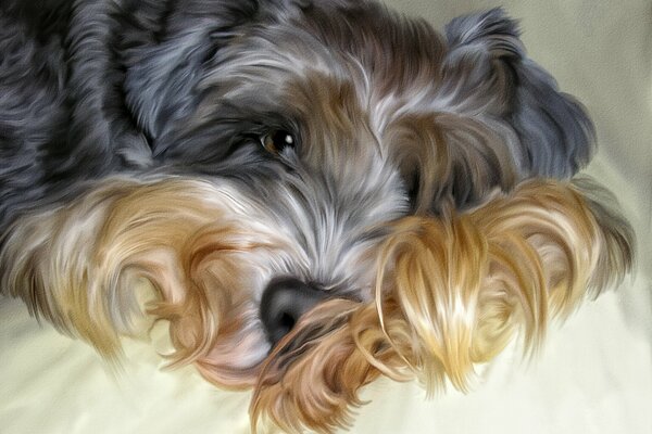 Cane Shaggy sul letto Photoshop