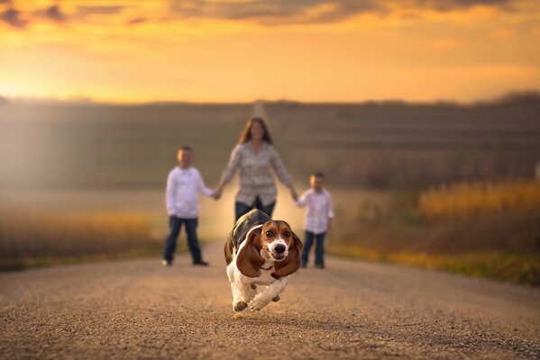 Chien en cours d exécution et femme avec enfants