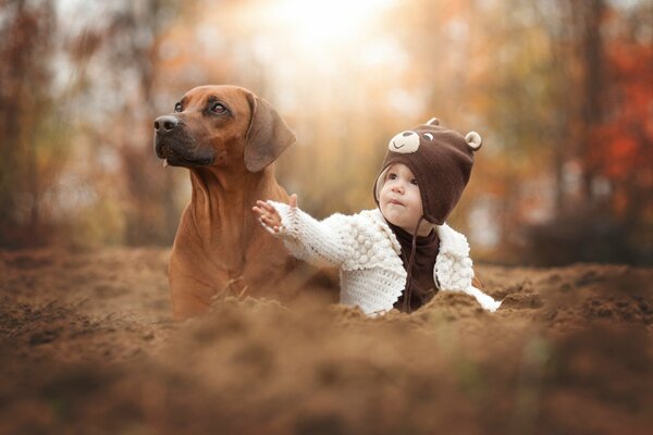Autumn photo of a baby with a dog