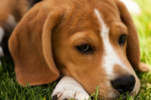 Play with me, I m really bored