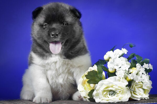 Cucciolo carino con un mazzo di fiori bianchi