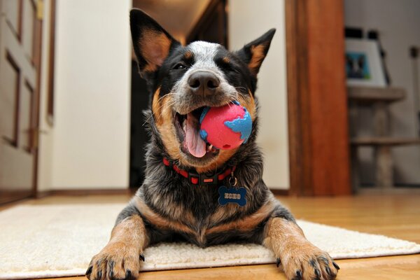 Ein Freund eines Mannes spielt einen Ball