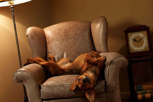 Es hora de descansar en la silla