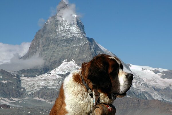 Die Eroberung der Alpen in Serbernar, am frühen Morgen