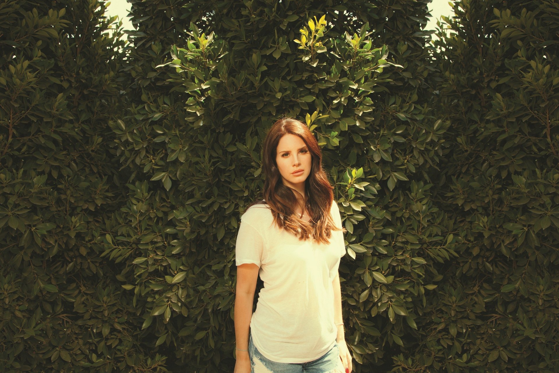 lana del rey singer