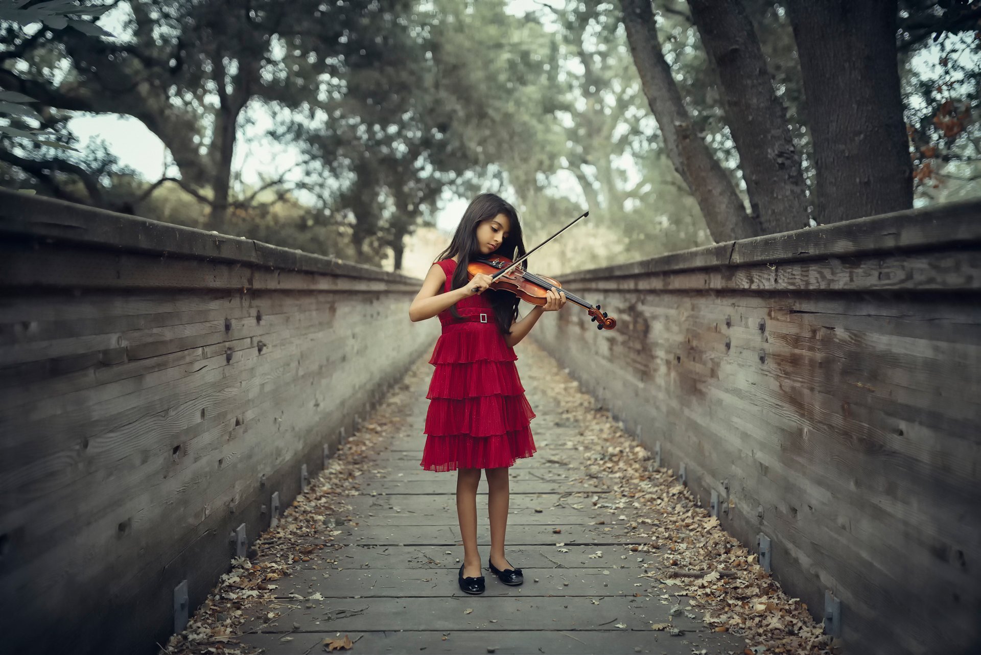 violinista niña violín