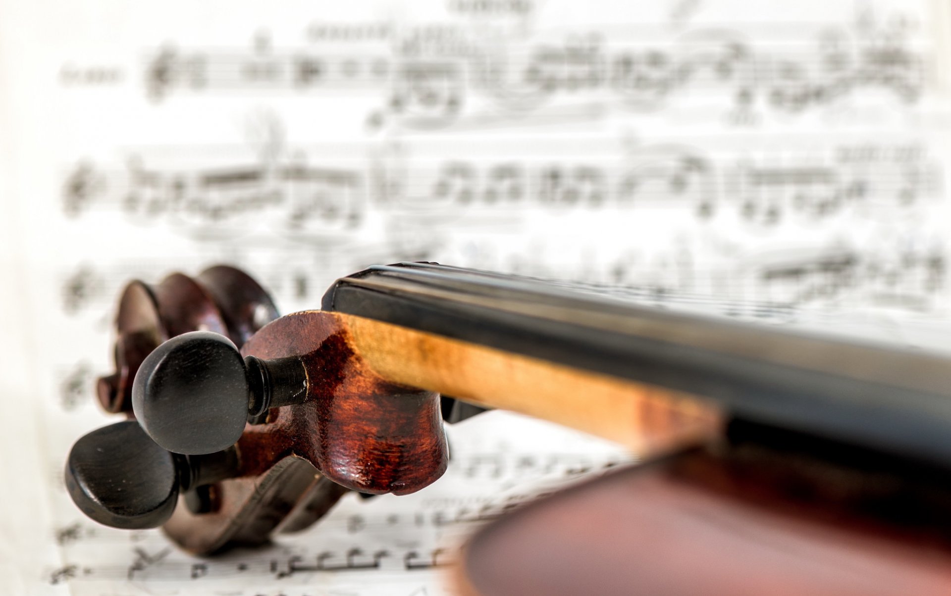 violin close up background