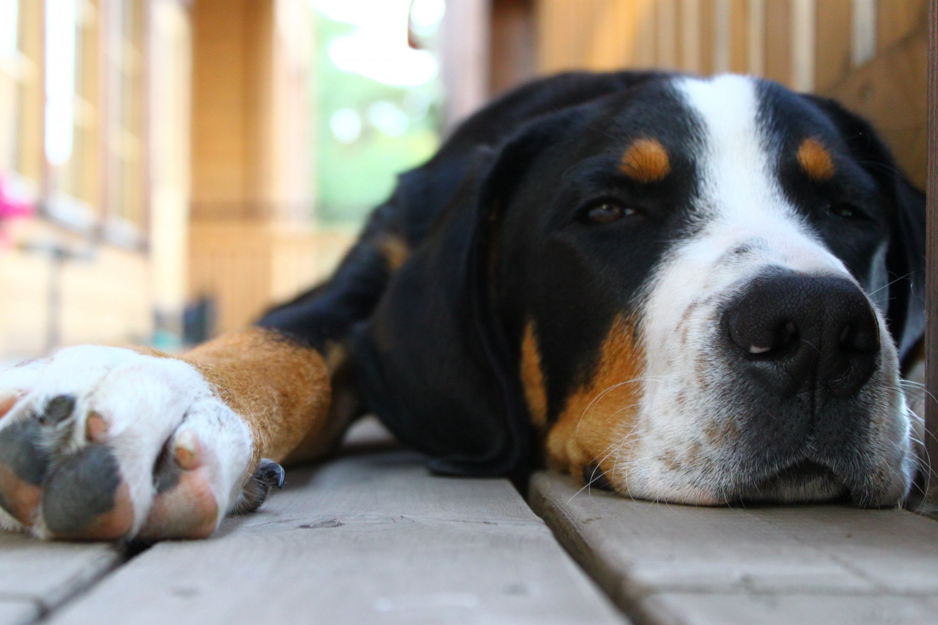 dormir se reposer sable