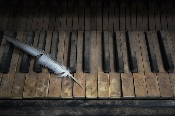 Plume sur un vieux piano poussiéreux