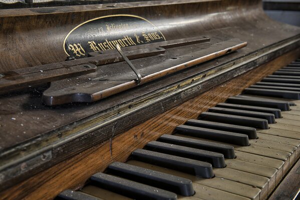 An old musical instrument picture