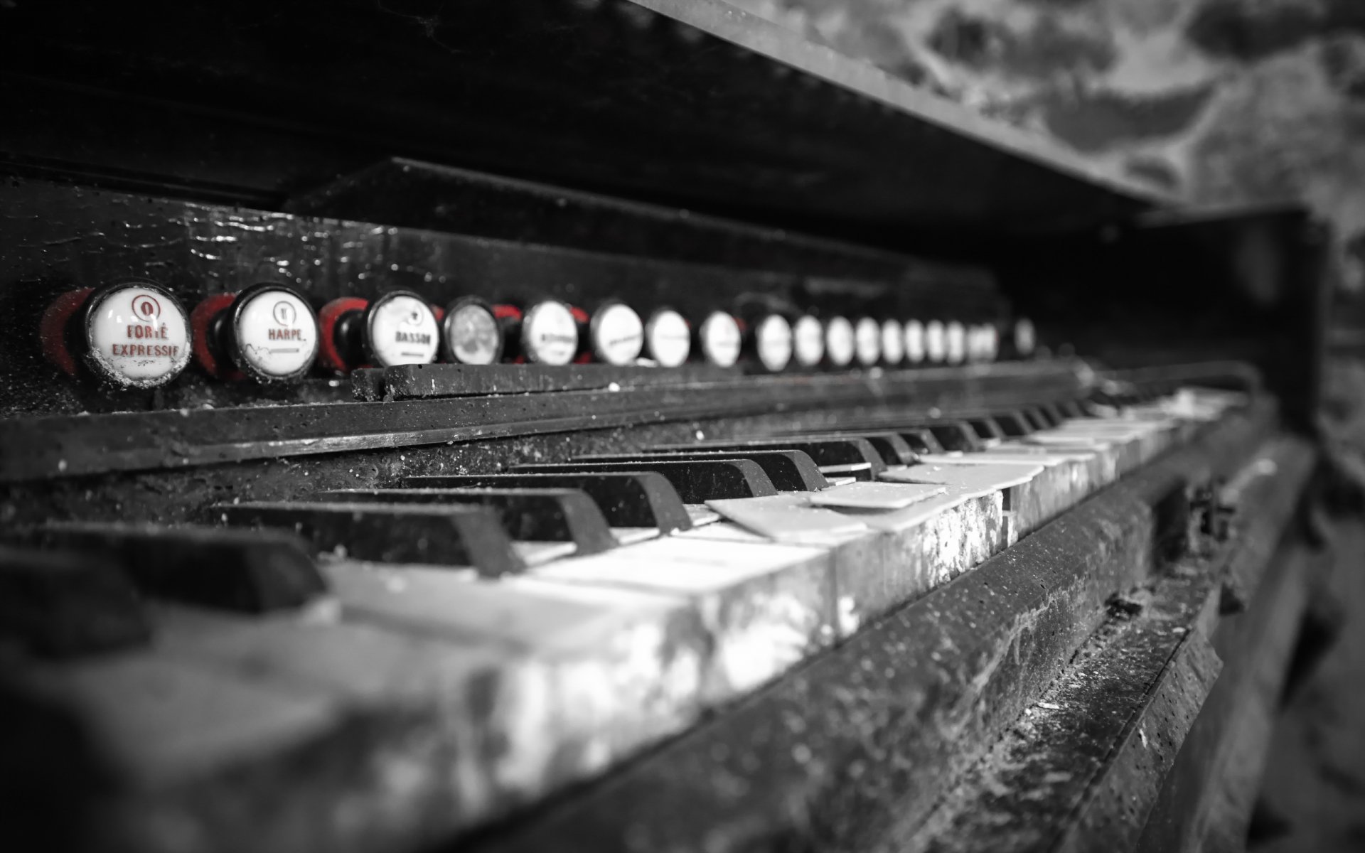 orgue musique fond