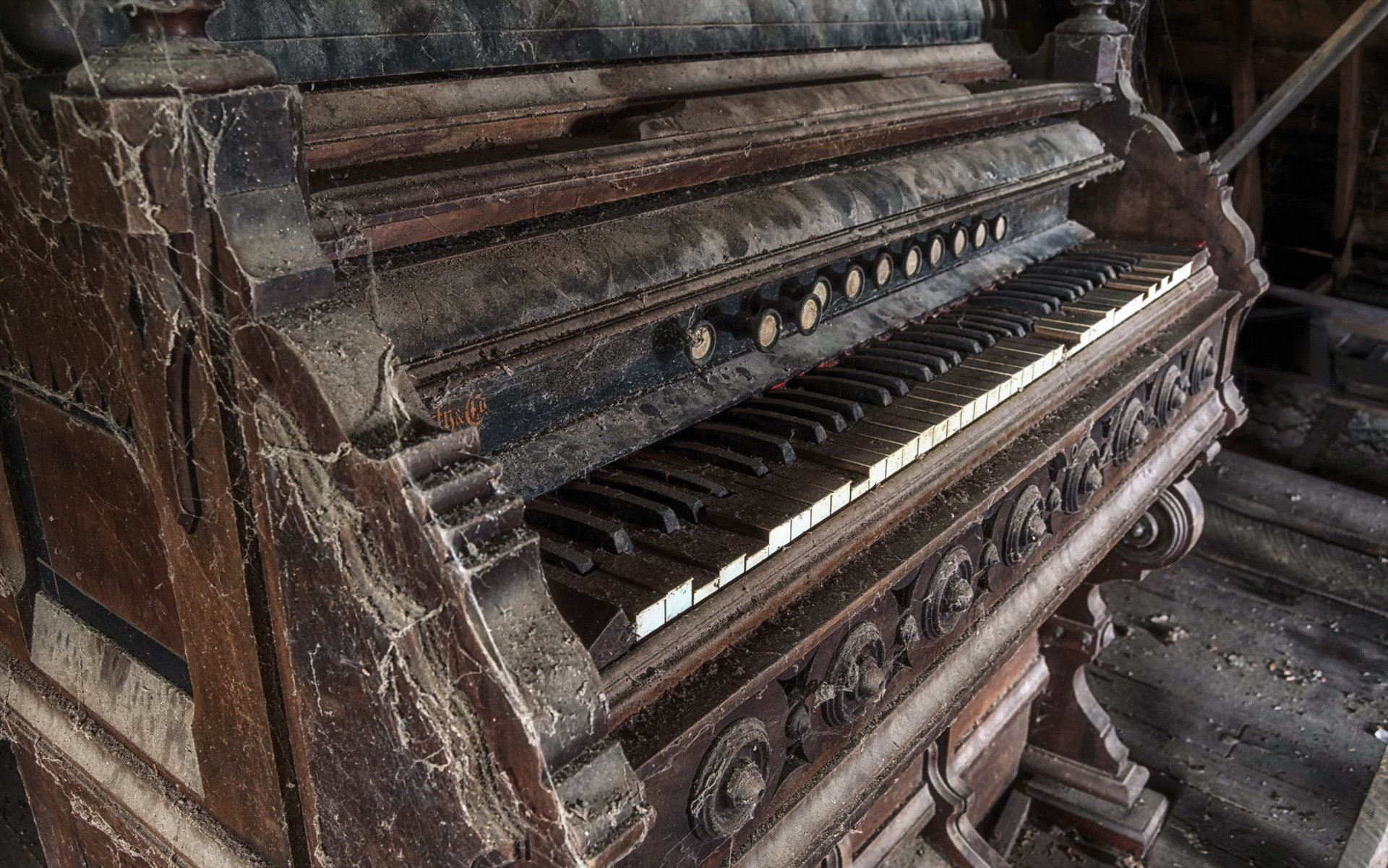 orgue musique fond