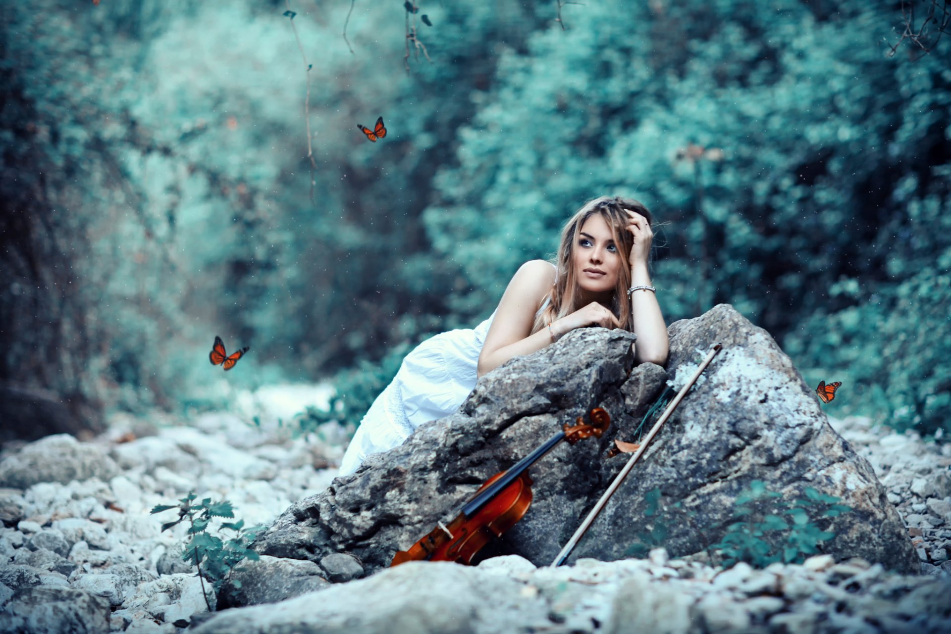 butterflies girl violin bow alessandro di cicco