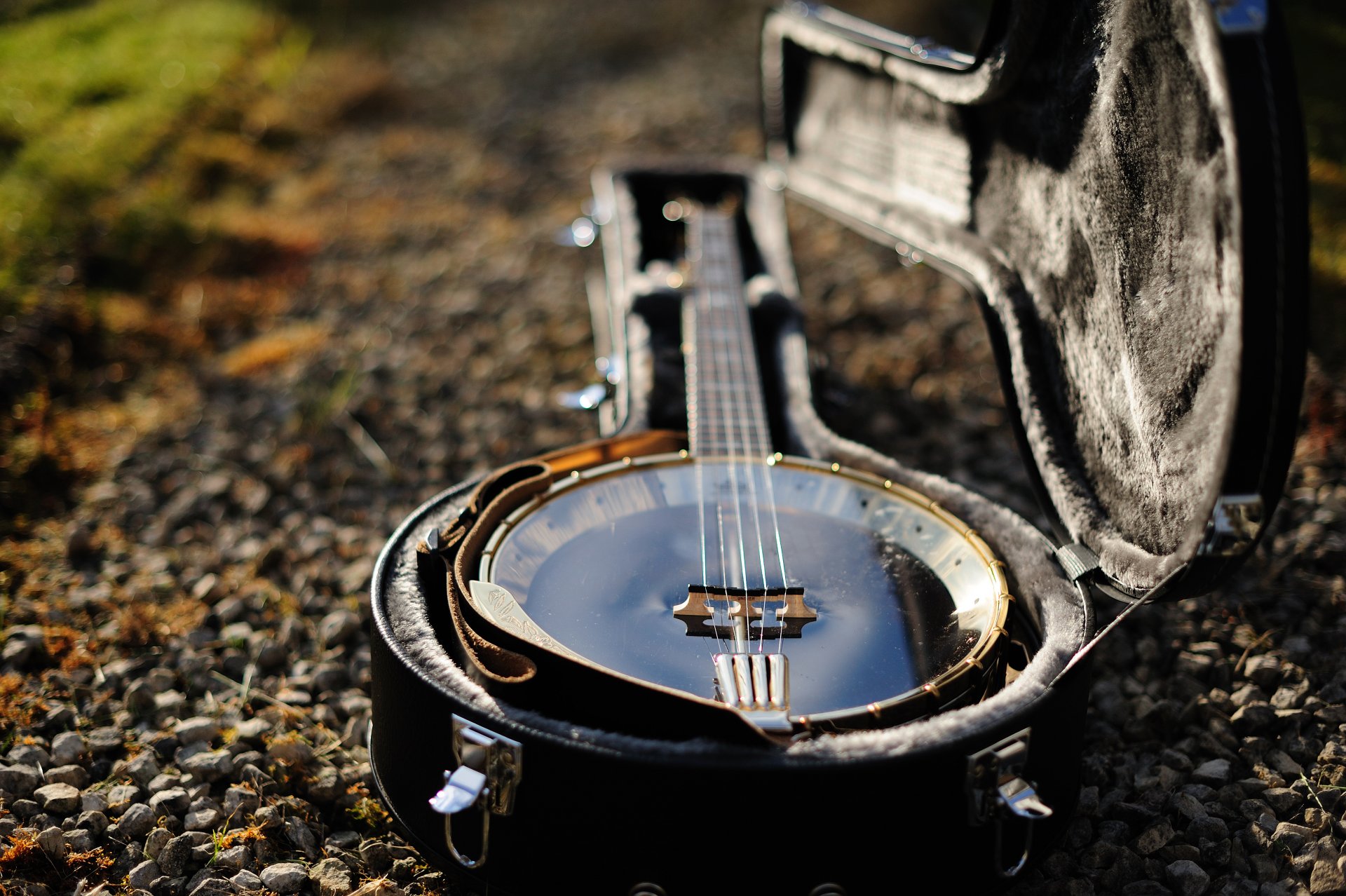 banjo instrument musique