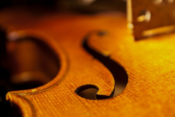 A musical instrument. Violin. Music