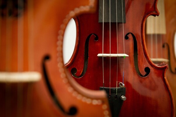 Violines musicales en el fondo de violines