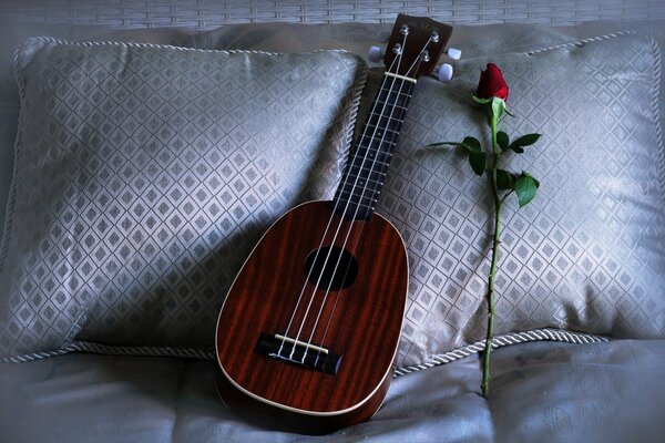 Auf dem Kissen liegt eine Ukulele und eine Rose