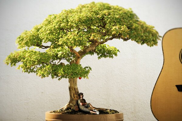 L homme sous l arbre écoute les sons de la nature