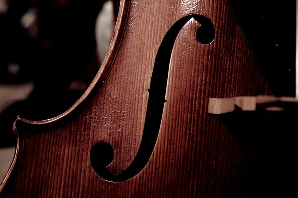 Lignes de violoncelle fluides sur la platine avant