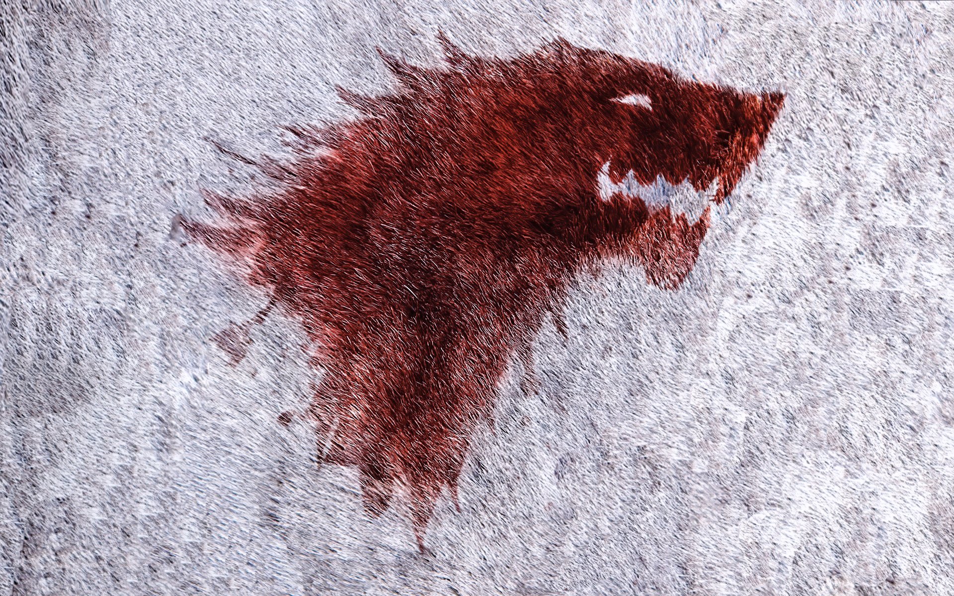 game of thrones tv-serie stark wappen wolf der winter rückt näher der winter rückt näher