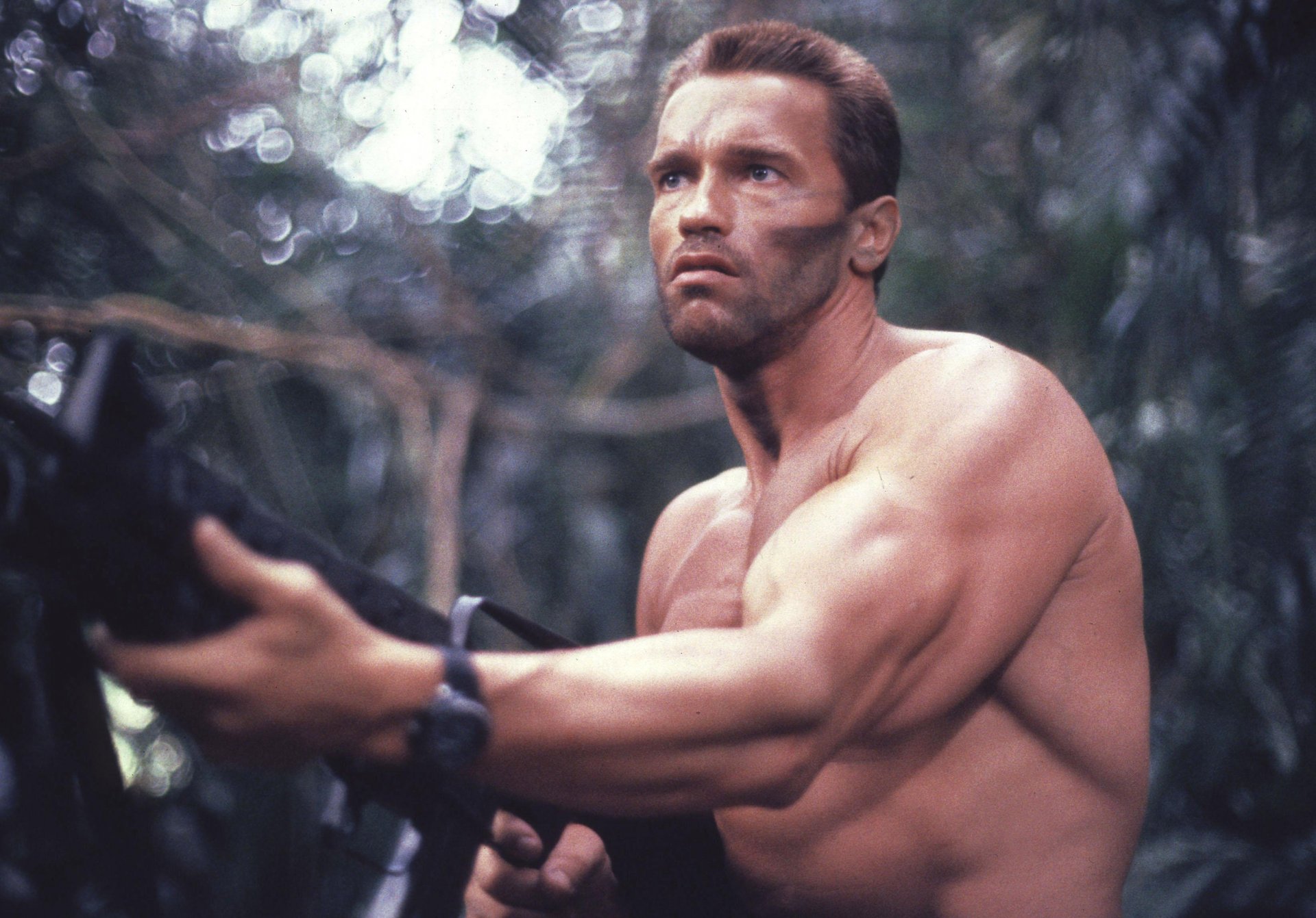 depredador arnold schwarzenegger hombre