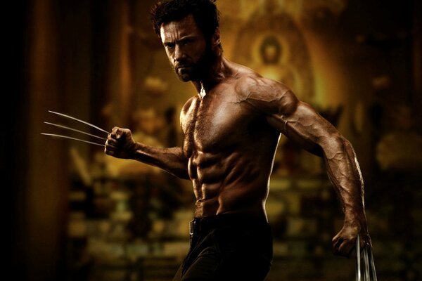 Schauspieler logan aus dem Film Wolverine Hugh Jackman