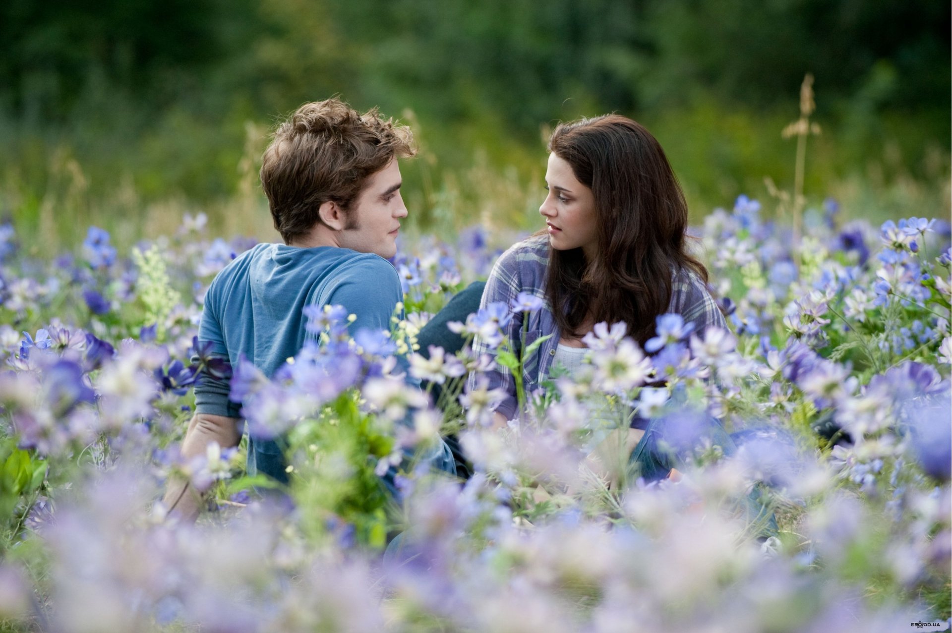 dämmerung edward cullen bella isabella swan bella swan edward cullen kristen stewart robert pattinson robert pattinson blumen sonnenfinsternis feld saga zwei