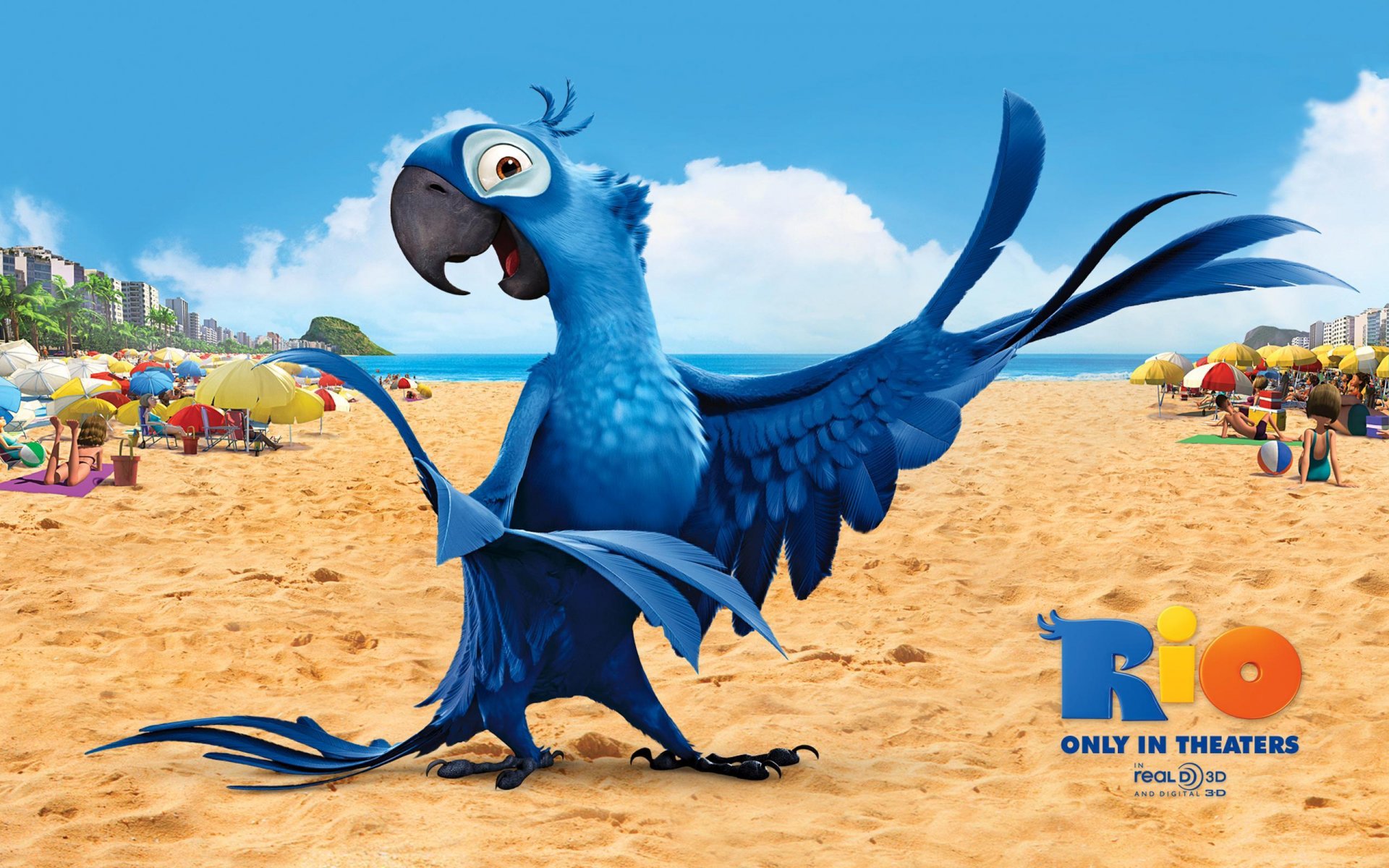 cartoon rio rio de janeiro poultry parrot spix s macaw darling feathers wings beak beach sand bright colorfully