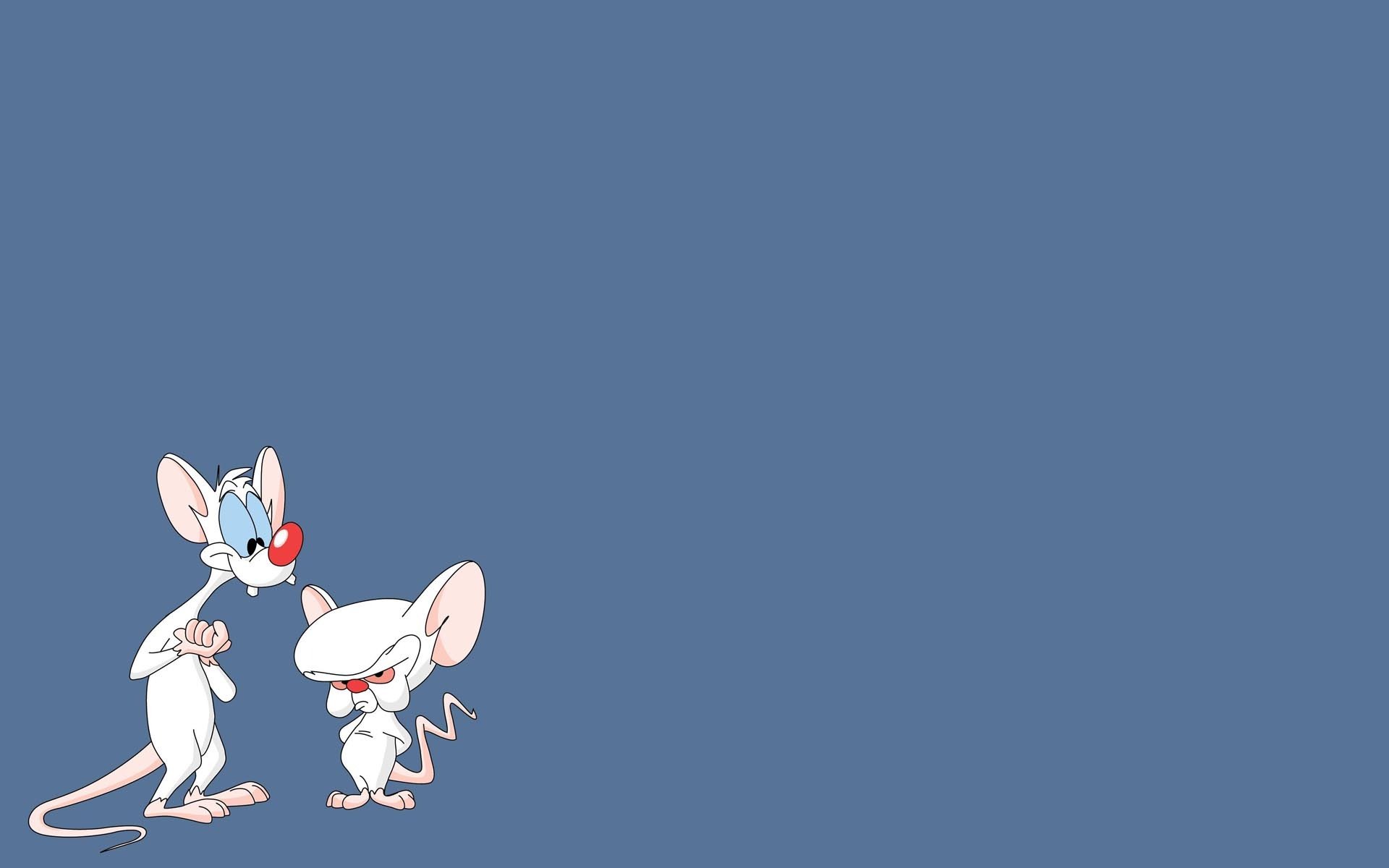 pinky y brain dibujos animados ratas