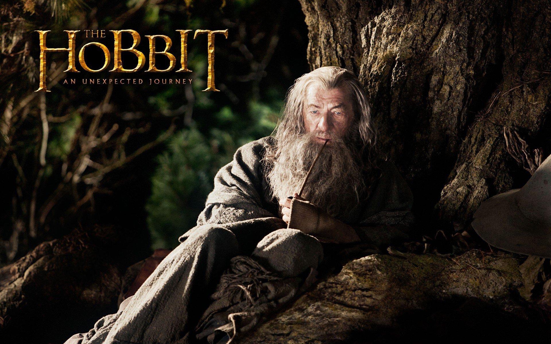 el hobbit un viaje inesperado ian mckellen ian mckellen gandalf gris anciano mago barba tubo árbol