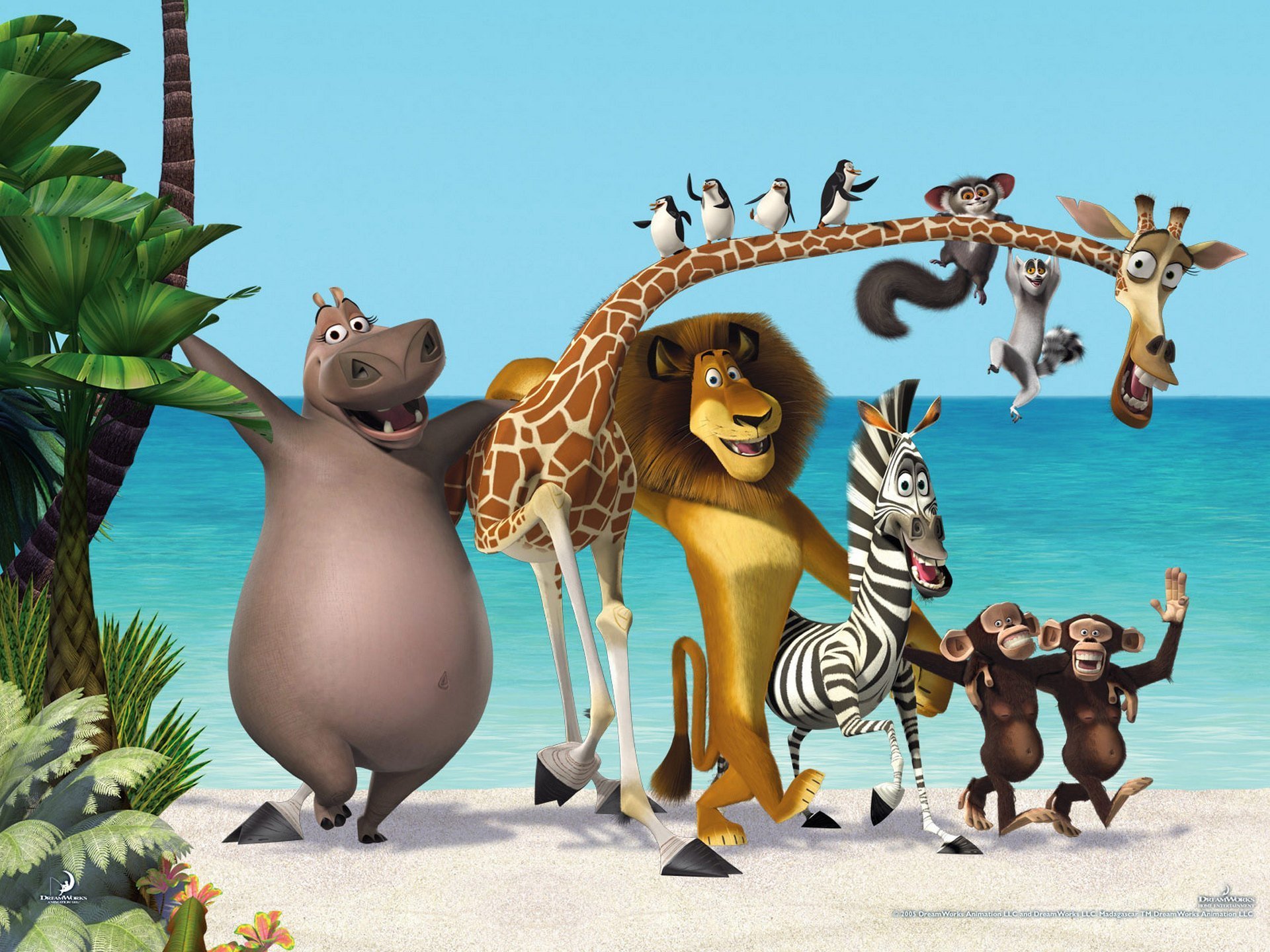 madagascar 3 nuevo dibujos animados madagascar tres cebra jirafa hipopótamo león monos pingüinos mar palmeras