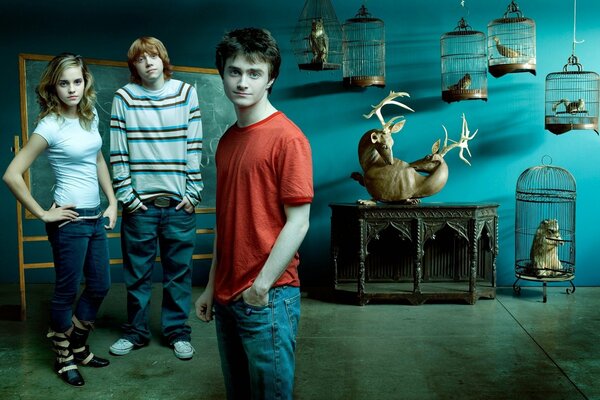 Harry Potter y sus amigos en el fondo de jaulas con animales