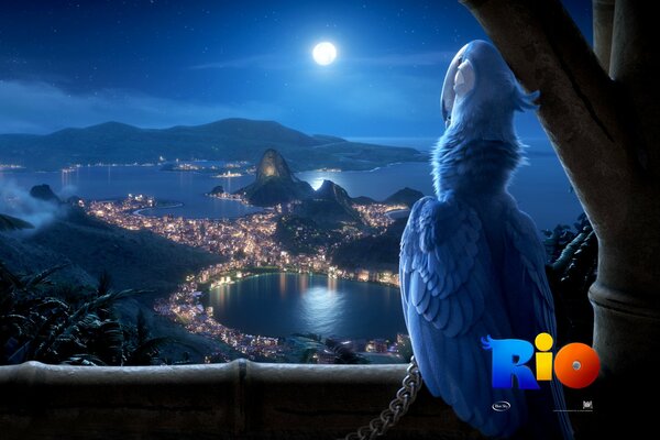 El loro de la caricatura de río Mira la noche de río de Janeiro